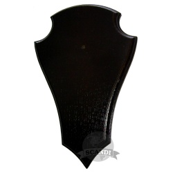 Trophy shield For Roe deer...