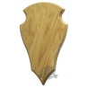 Trophy shield for fallow deer 002/29/17/j