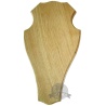 Trophy shield for deer 001/40/22/j