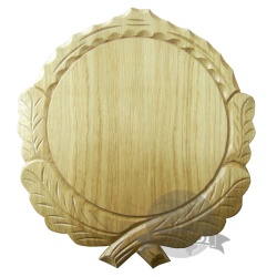 Wild boar mounting shield...